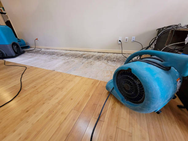 Professional Flood Damage Cleanup technician working in Fayette, IA